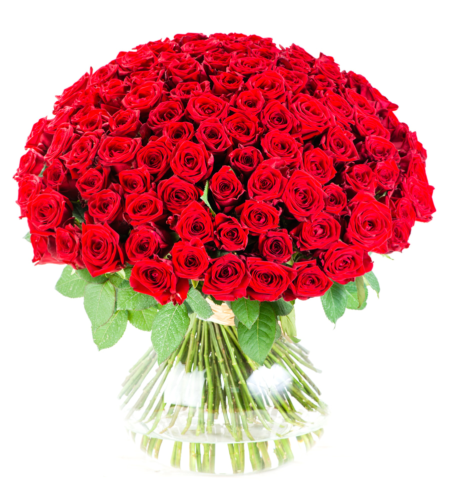 Bouquet Number of Red Roses | Infinite Monte Carlo